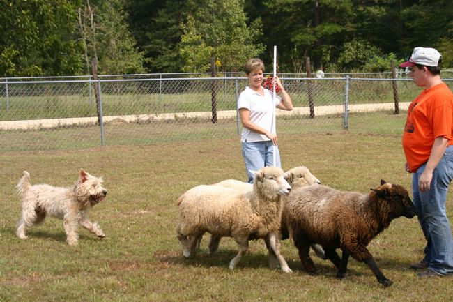 Click to see next picture