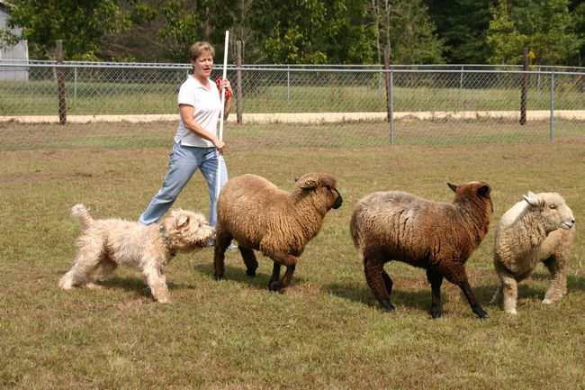 Click to see next picture