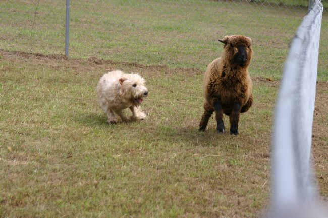 Click to see thumbs page