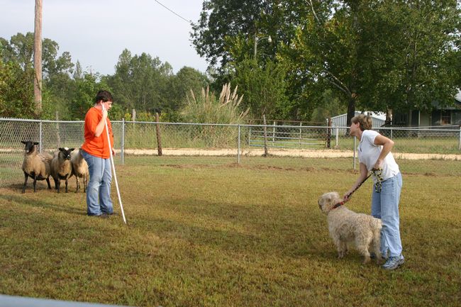 Click to see next picture