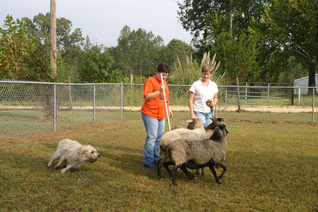 Click to see next picture