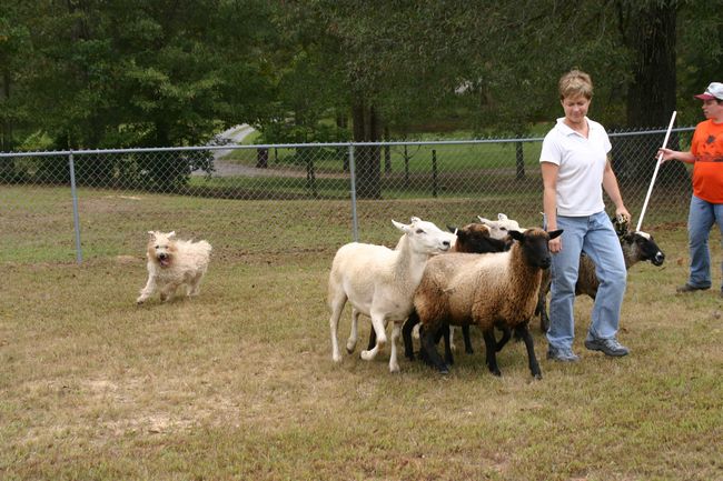 Click to see next picture