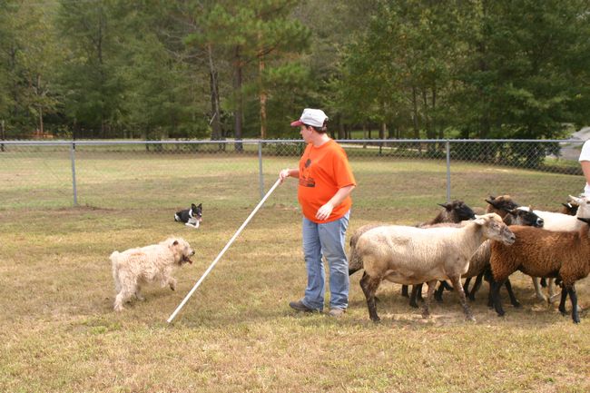 Click to see next picture