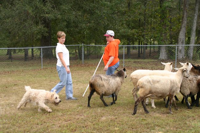 Click to see next picture