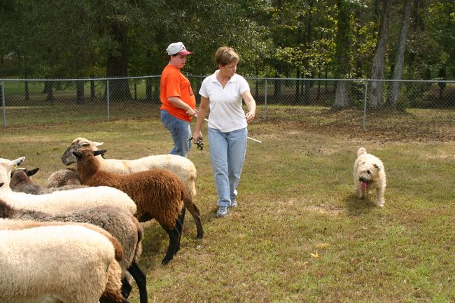 Click to see thumbs page