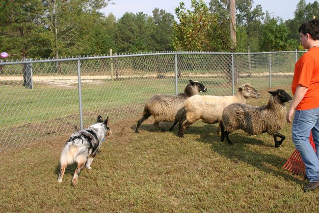 Click to see next picture