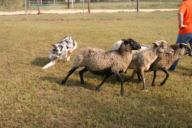 Click to see next picture