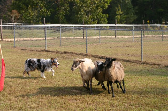 Click to see next picture