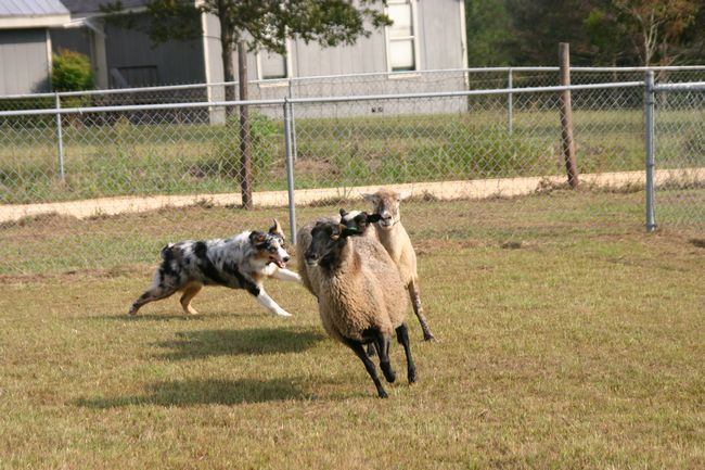 Click to see next picture