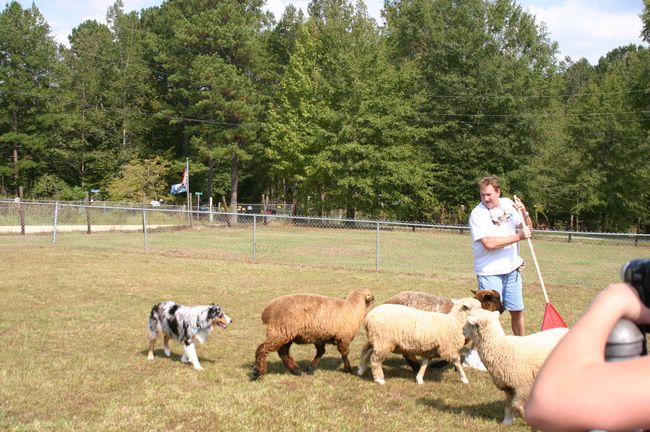 Click to see next picture