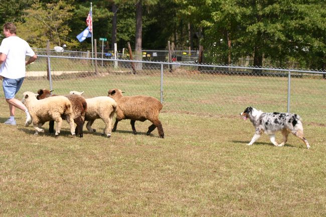 Click to see next picture