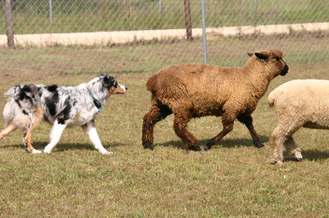 Click to see next picture