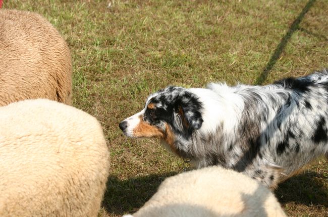 Click to see next picture