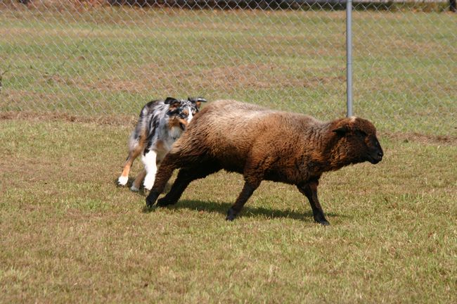 Click to see next picture