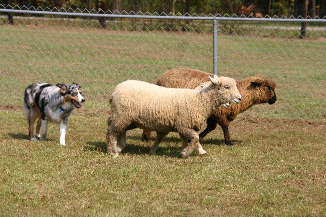 Click to see next picture