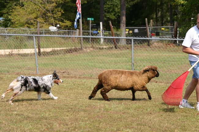 Click to see thumbs page