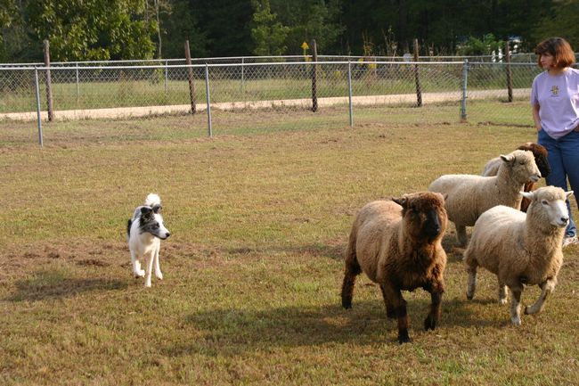 Click to see next picture