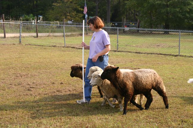 Click to see next picture