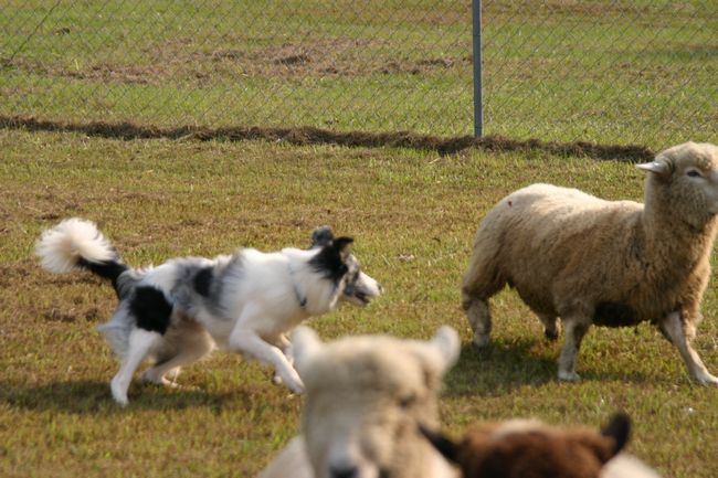 Click to see next picture