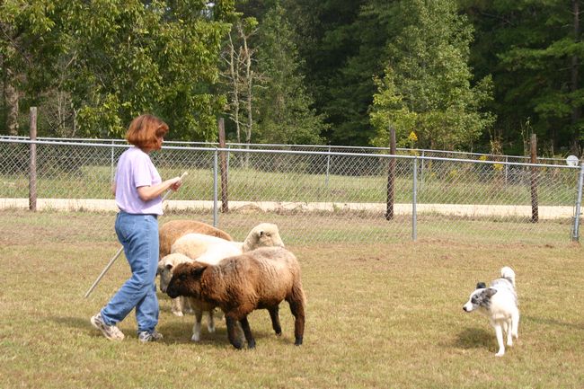 Click to see next picture