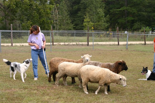 Click to see next picture