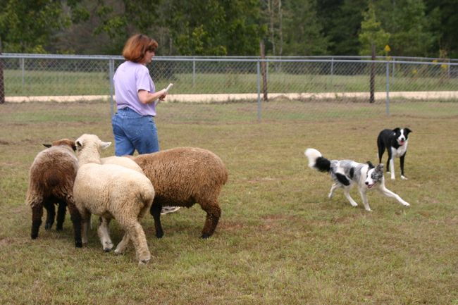 Click to see next picture