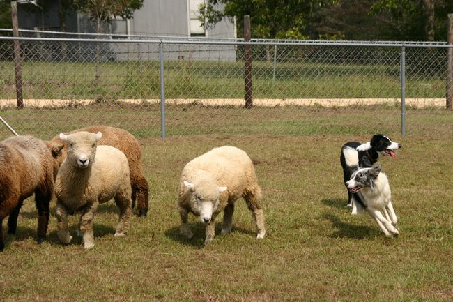 Click to see next picture