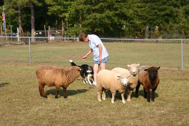 Click to see next picture