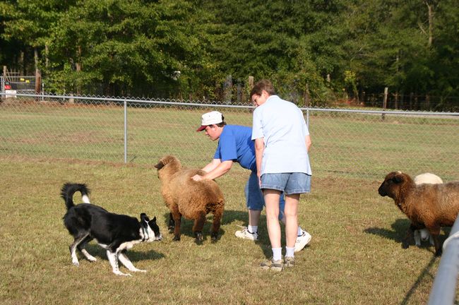 Click to see next picture