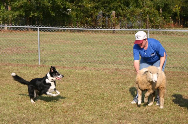 Click to see thumbs page