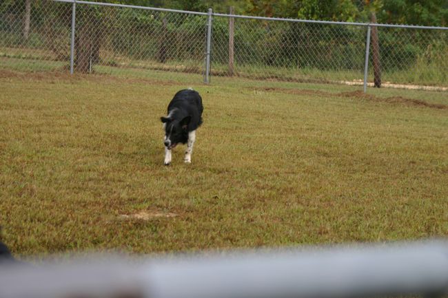 Click to see next picture