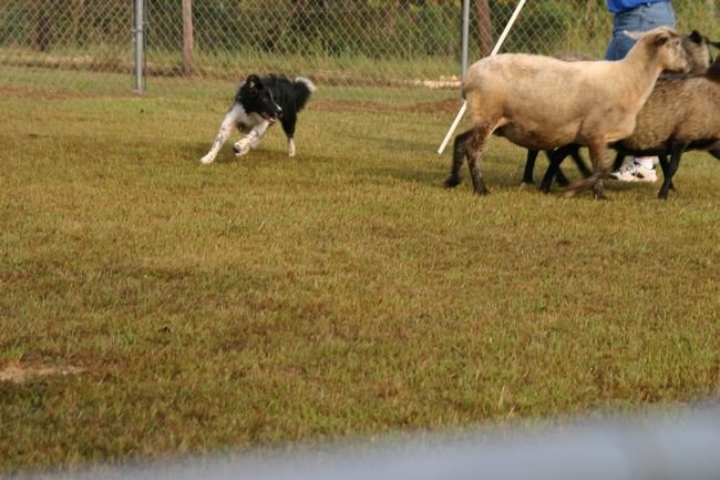 Click to see next picture