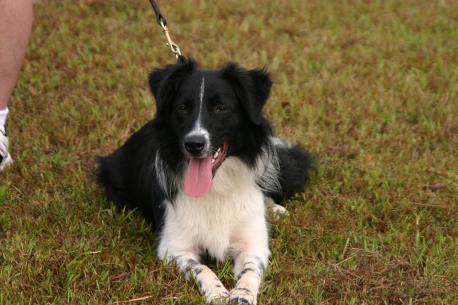 Click to see next picture