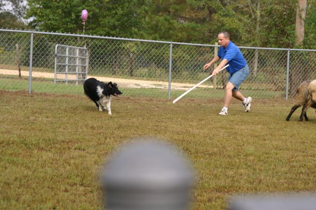 Click to see next picture