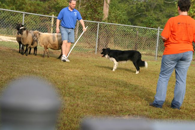 Click to see next picture