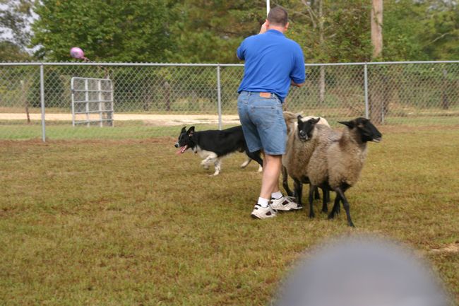 Click to see next picture