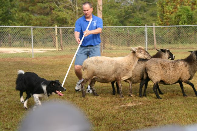 Click to see next picture