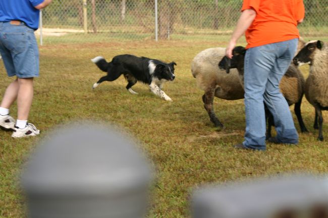 Click to see next picture