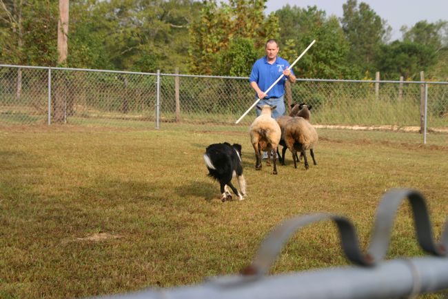 Click to see next picture