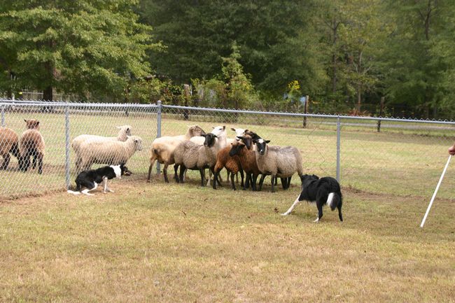 Click to see next picture