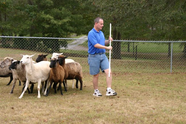 Click to see next picture