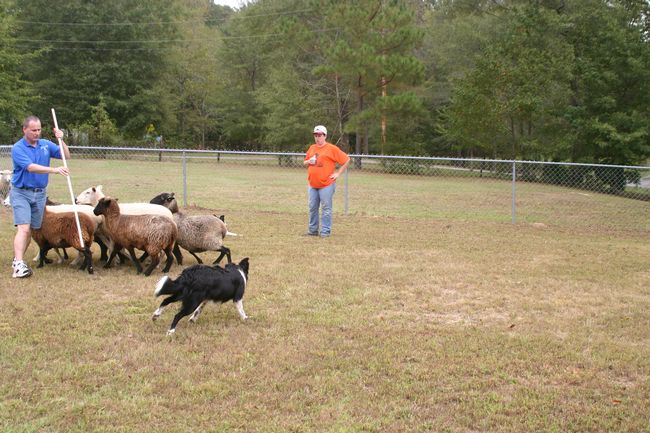 Click to see next picture