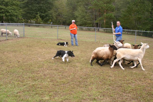 Click to see next picture