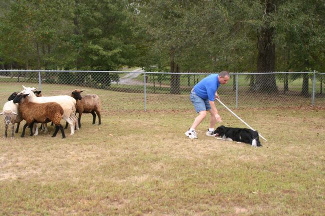 Click to see next picture