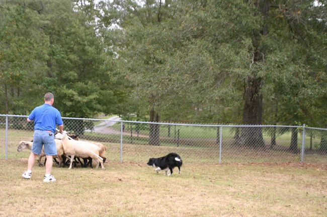 Click to see next picture