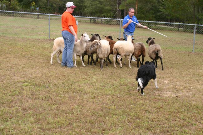 Click to see next picture