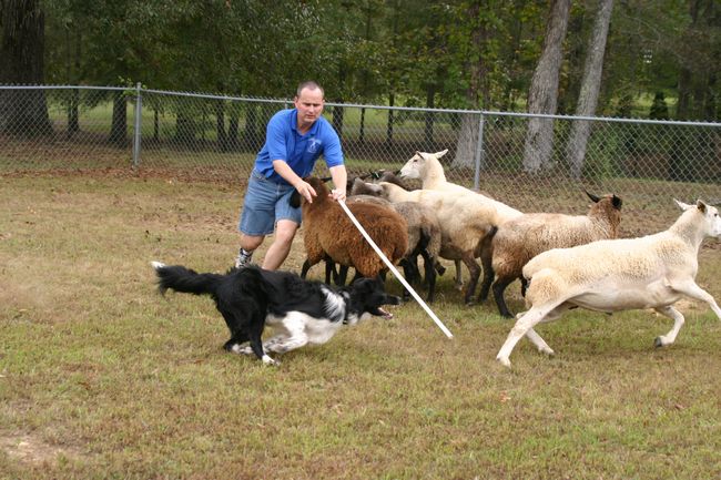 Click to see next picture