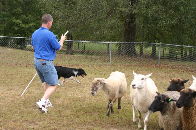 Click to see next picture