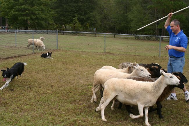 Click to see next picture