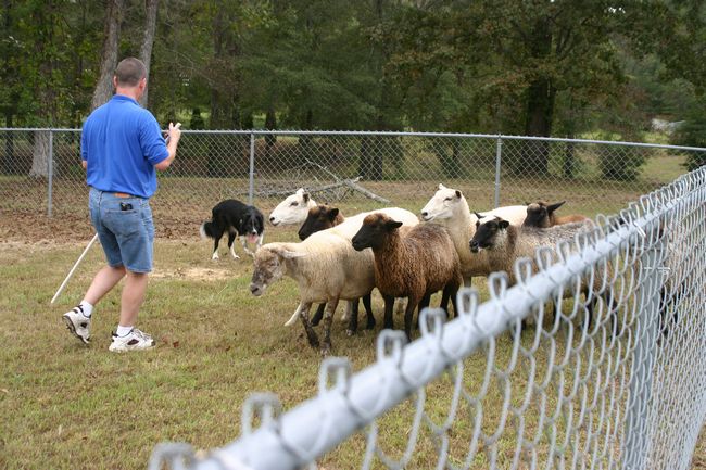 Click to see next picture